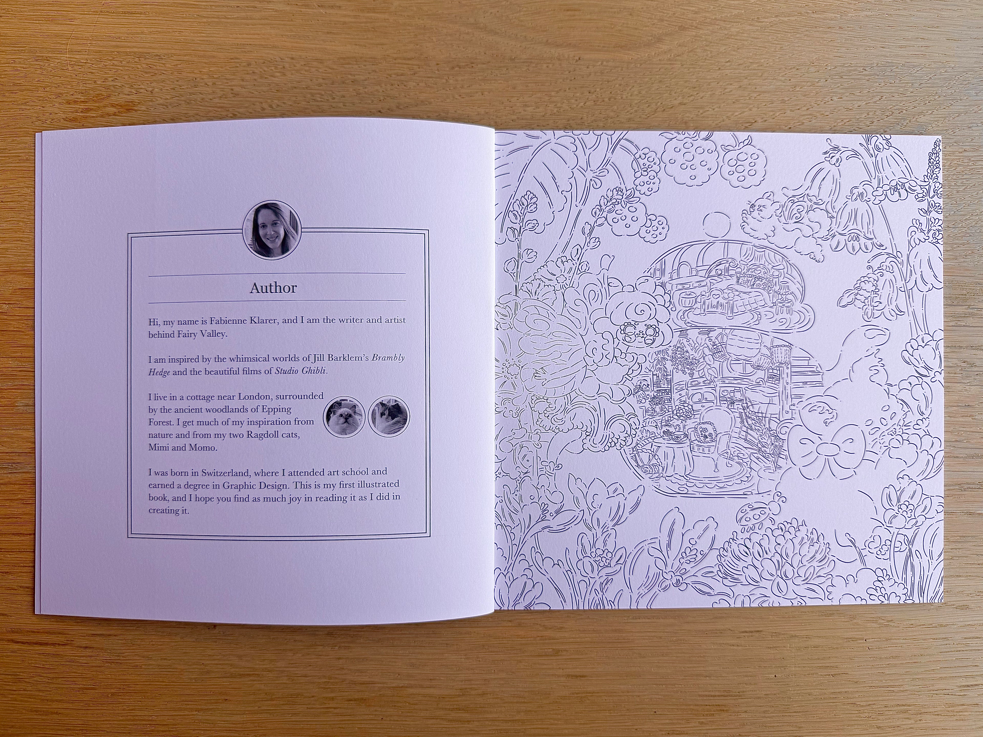 Daisy the Fairy & the Teapot House — Colouring Book