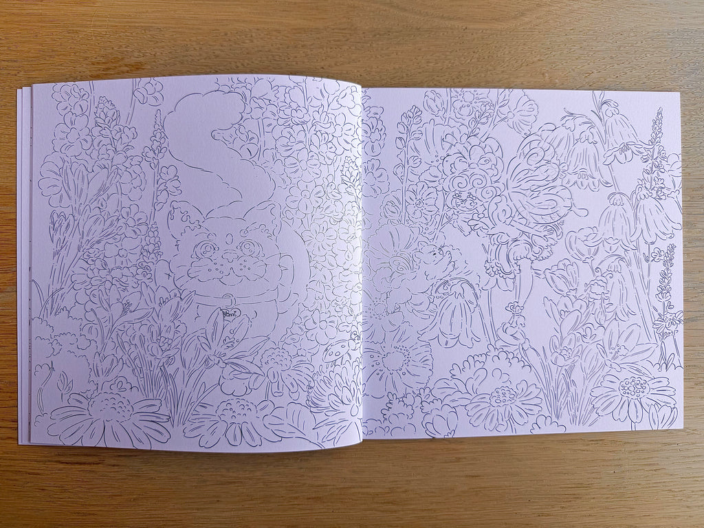 Daisy the Fairy & the Teapot House — Colouring Book