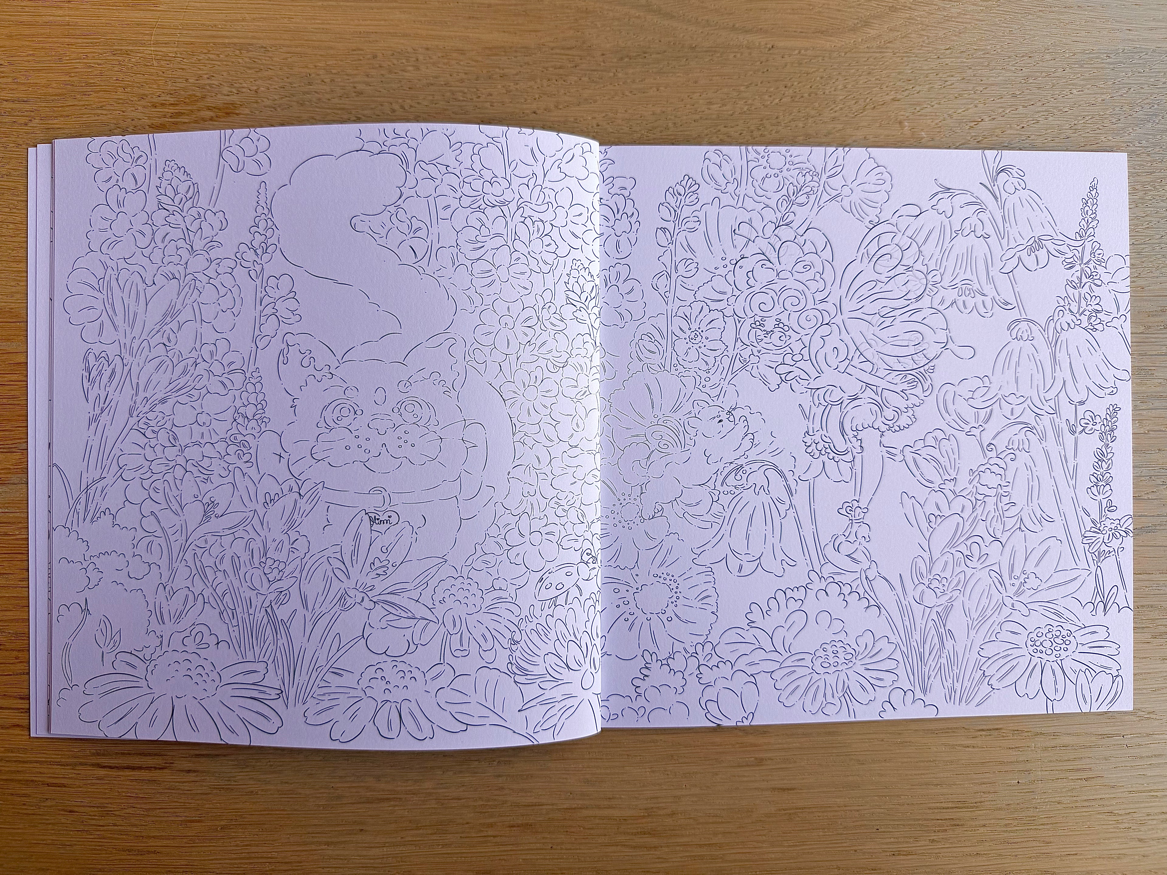 Daisy the Fairy & the Teapot House — Colouring Book