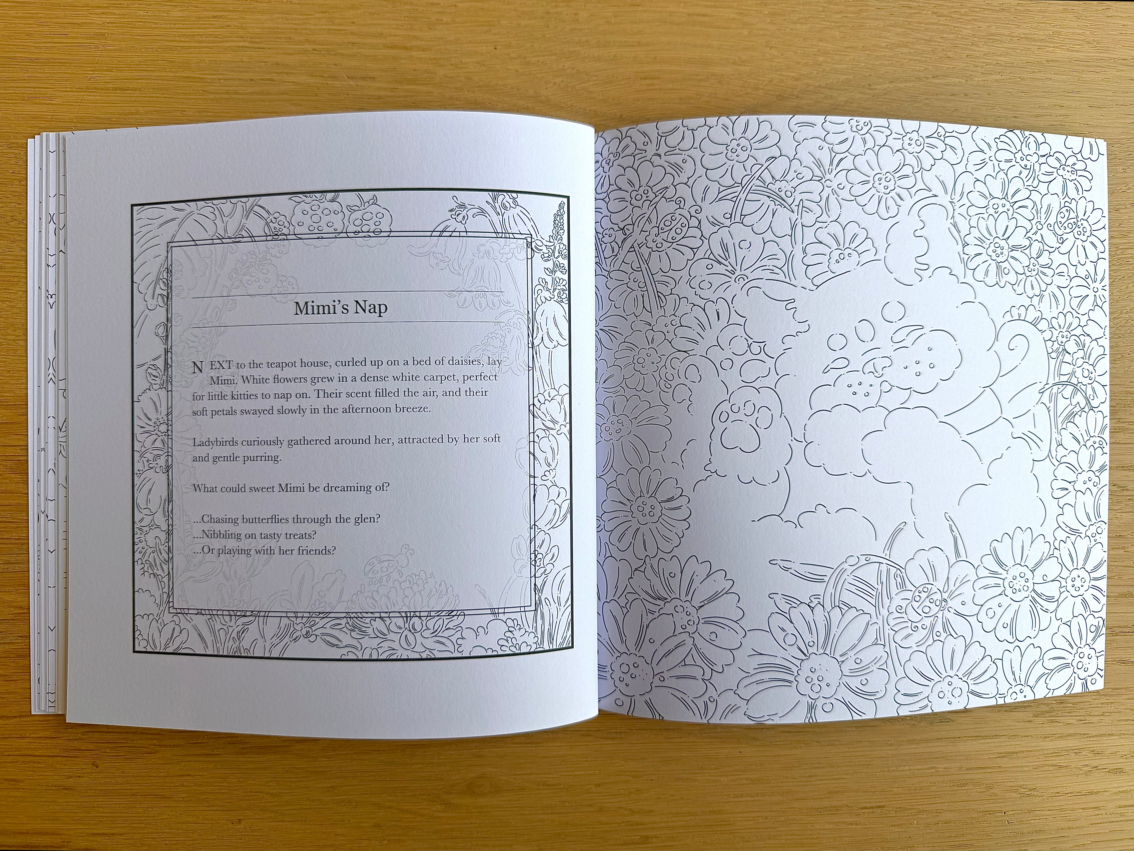 Daisy the Fairy & the Teapot House — Colouring Book